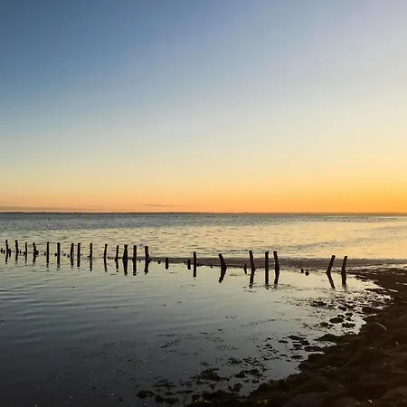 Vestergade Iv * Romo